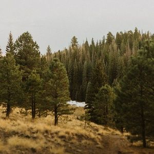 Meet your Posher, Adriana